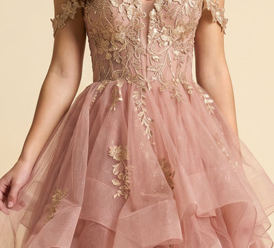 Robe Avec Tulle à Étage Dusty Rose / Gold