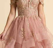 Robe Avec Tulle à Étage Dusty Rose / Gold