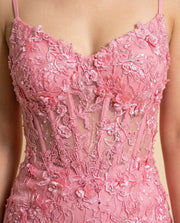 Lace Mermaid Gown Pink