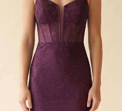 Robe Plum À Corset Scintillante