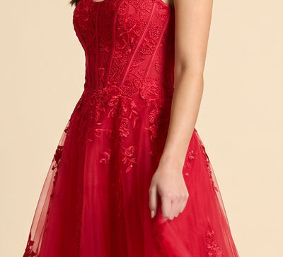 Robe Princesse Brodée bourgogne